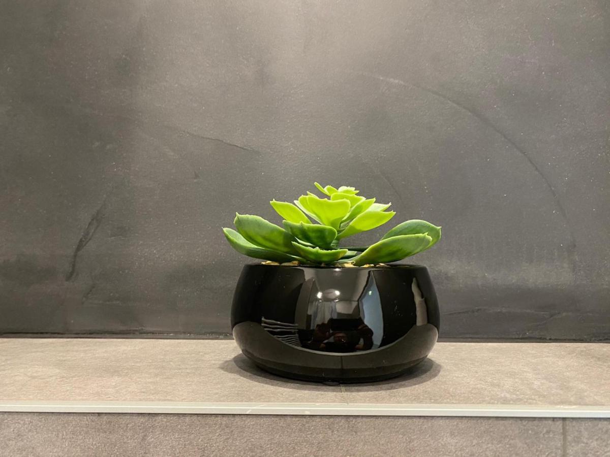 Apartment Bianca Premantura Istrien מראה חיצוני תמונה